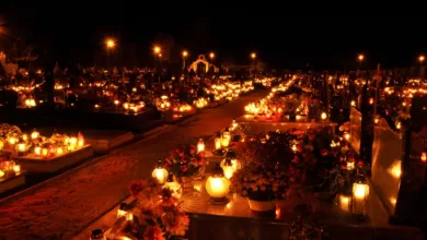 El Día de Muertos en México ¿Cómo se celebra? 16 El Día de Muertos en México ¿Cómo se celebra?