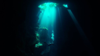 El Cenote El Pit: El Increíble Portal al Submundo Maya 11 El Cenote El Pit: El Increíble Portal al Submundo Maya