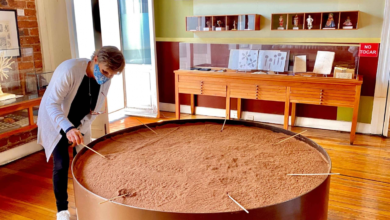 Museo de Chocolate México: Descubre la Historia detrás del Cacao 11 Museo de Chocolate México: Descubre la Historia detrás del Cacao