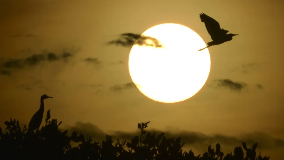 Apariciones Sobrenaturales en la Tierra del Sol y la Luna 1 Apariciones Sobrenaturales en la Tierra del Sol y la Luna
