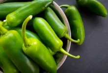 Beneficios de incluir chiles en tu dieta 9 Beneficios de incluir chiles en tu dieta