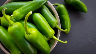 Beneficios de incluir chiles en tu dieta