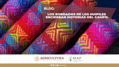 Bordados mexicanos: técnicas y significados 8 Bordados mexicanos: técnicas y significados