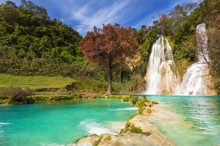 Cascadas Escondidas: Belleza Natural de México 1 Cascadas Escondidas: Belleza Natural de México