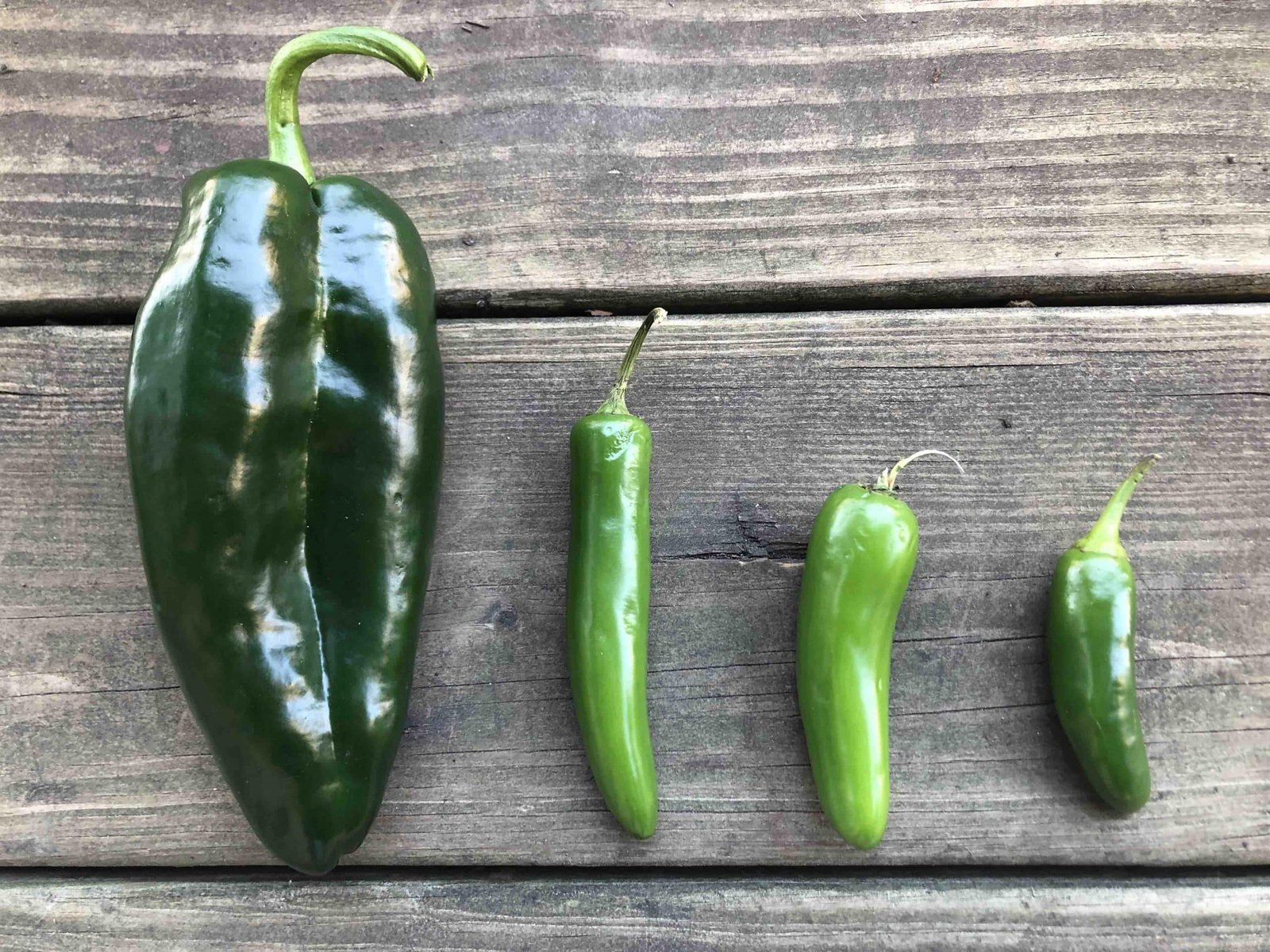 Chiles mexicanos: ¡Picantes y deliciosos! 1 Chiles mexicanos: ¡Picantes y deliciosos!