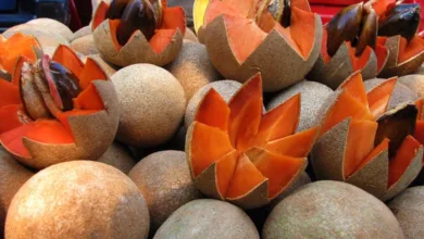 Cómo identificar un mamey maduro 8 Cómo identificar un mamey maduro