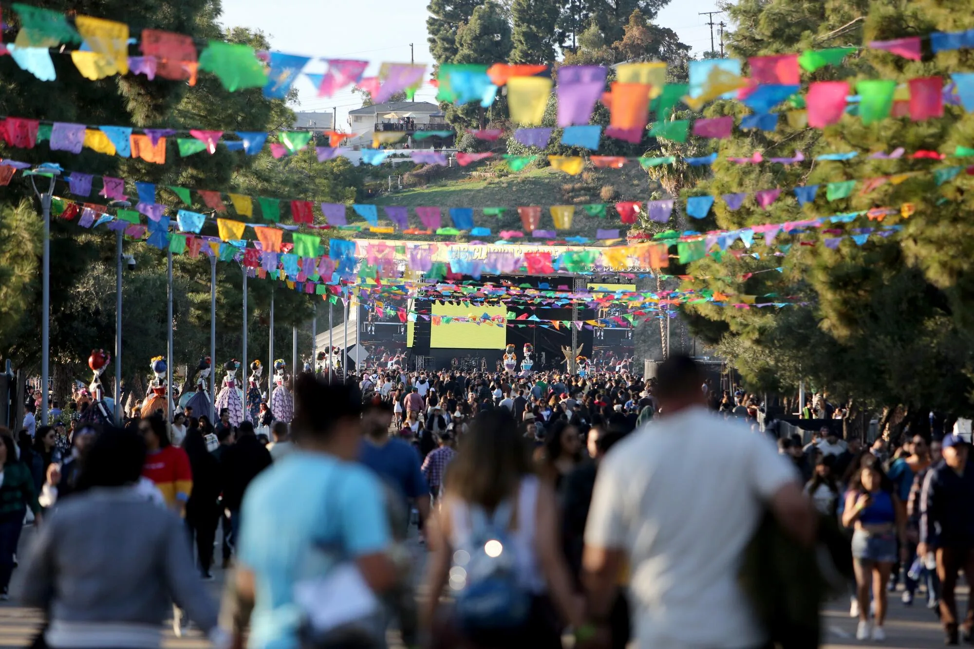 Conciertos para toda la familia en México 1 Conciertos para toda la familia en México