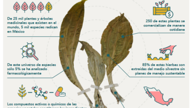 Contribuciones mexicanas a la medicina tradicional 9 Contribuciones mexicanas a la medicina tradicional
