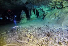 Cuevas y cavernas en México 14 Cuevas y cavernas en México