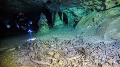 Cuevas y cavernas en México