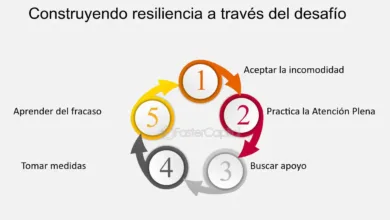 Desafíos enfrentados y superados gracias a la resiliencia de los generales de México 1 Desafíos enfrentados y superados gracias a la resiliencia de los generales de México
