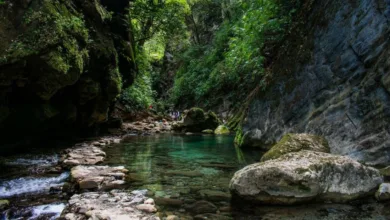 Descubre la selva de la Sierra Gorda 7 Descubre la selva de la Sierra Gorda