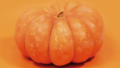 Descubre la versatilidad de la calabaza 6 Descubre la versatilidad de la calabaza