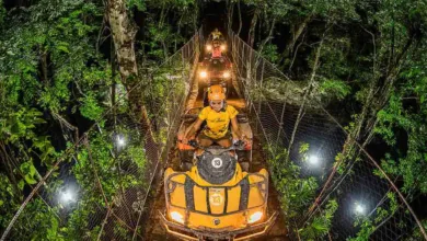 Eco turismo: una opción sustentable para explorar México 9 Eco turismo: una opción sustentable para explorar México