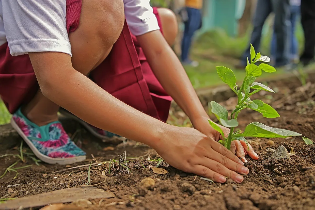 Educación ambiental en México 1 Educación ambiental en México