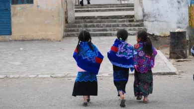 Educación bilingüe en México 7 Educación bilingüe en México