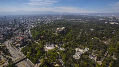 El Bosque de Chapultepec 8 El Bosque de Chapultepec