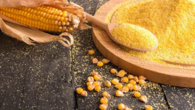 El maíz en la cocina mexicana