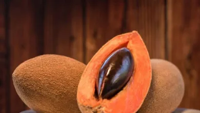 El mamey y su influencia en otras culturas 11 El mamey y su influencia en otras culturas