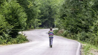El niño de la carretera 8 El niño de la carretera