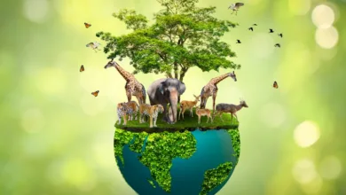 Eventos de conciencia ambiental, sostenibilidad y protección de especies en peligro 10 Eventos de conciencia ambiental, sostenibilidad y protección de especies en peligro