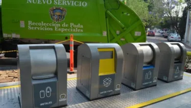 Experiencia de una papelera en Oaxaca 3 Experiencia de una papelera en Oaxaca