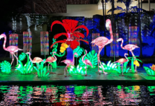 Festivales de arte contemporáneo en el país 13 Festivales de arte contemporáneo en el país