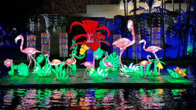 Festivales de arte contemporáneo en el país 1 Festivales de arte contemporáneo en el país