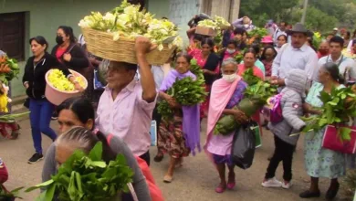 Fiesta de la Santa Cruz en Chiapas 10 Fiesta de la Santa Cruz en Chiapas