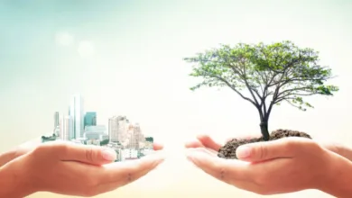 Filosofía y sustentabilidad en México 6 Filosofía y sustentabilidad en México