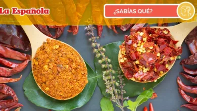 Influencia española en la cultura mexicana 8 Influencia española en la cultura mexicana