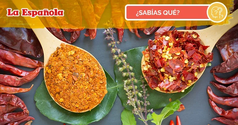 Influencia española en la cultura mexicana 1 Influencia española en la cultura mexicana