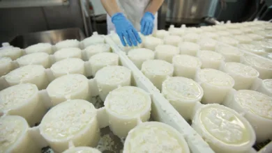 Innovaciones en la producción de lácteos en México 7 Innovaciones en la producción de lácteos en México