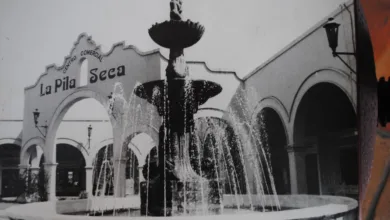 La Dama de Blanco en el centro histórico de la Ciudad de México 7 La Dama de Blanco en el centro histórico de la Ciudad de México