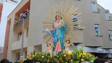 La devoción a la Virgen de los Remedios 3 La devoción a la Virgen de los Remedios