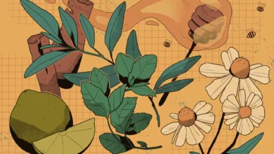 La economía de la medicina tradicional mexicana 6 La economía de la medicina tradicional mexicana