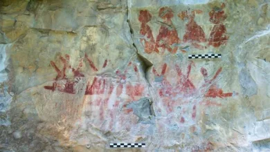 La historia de las Pinturas Rupestres en México