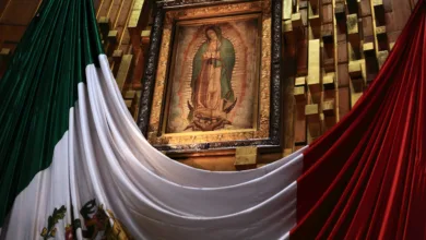 La importancia de la Virgen de Guadalupe en la cultura mexicana 8 La importancia de la Virgen de Guadalupe en la cultura mexicana