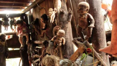La Isla de las Muñecas: Miedo entre las sombras