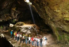 La Leyenda de la Cueva de la Orquídea 4 La Leyenda de la Cueva de la Orquídea