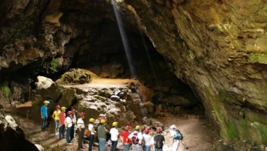La Leyenda de la Cueva de la Orquídea