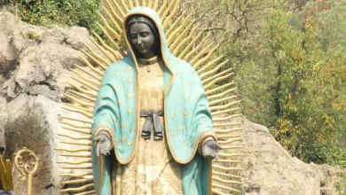 La Leyenda de la Virgen de Guadalupe 11 La Leyenda de la Virgen de Guadalupe