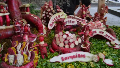 La Noche de Rábanos en Oaxaca 8 La Noche de Rábanos en Oaxaca