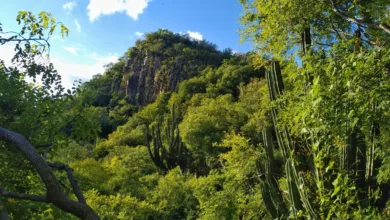 La relación entre la cultura mexicana y la naturaleza
