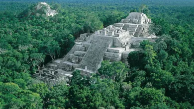 La Reserva de la Biosfera de Calakmul 8 La Reserva de la Biosfera de Calakmul