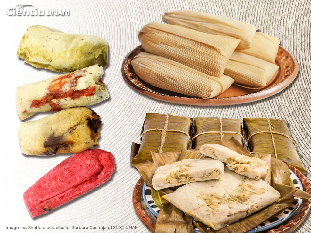 La tradición de los tamales en México: historia y variedades 1 La tradición de los tamales en México: historia y variedades