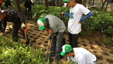 La visión verde de los generales mexicanos en la infraestructura sustentable