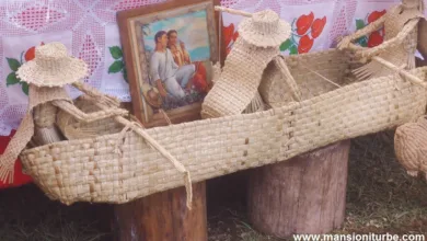 Las fibras vegetales en la artesanía mexicana 1 Las fibras vegetales en la artesanía mexicana