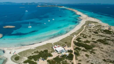 Las mejores playas para disfrutar mariscos frescos 11 Las mejores playas para disfrutar mariscos frescos