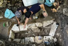 Los hallazgos más recientes en Chiapas